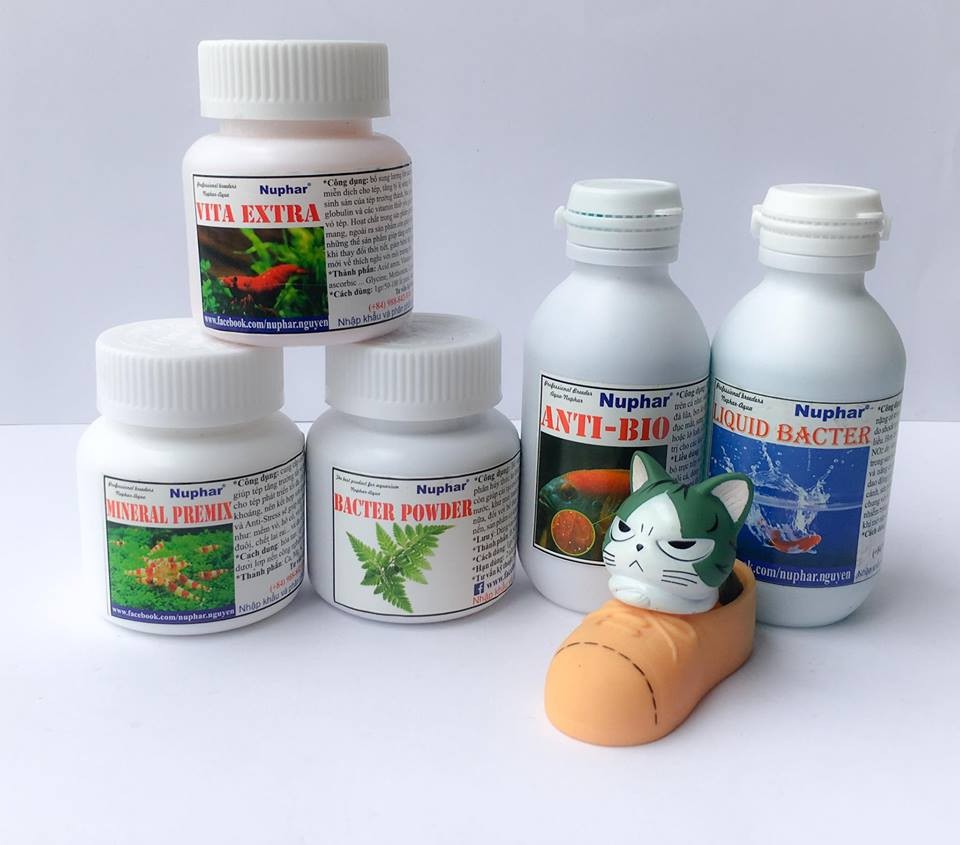 NUPHAR - Bacter Powder - Vi sinh chuyên dùng cho hồ cá thuỷ sinh