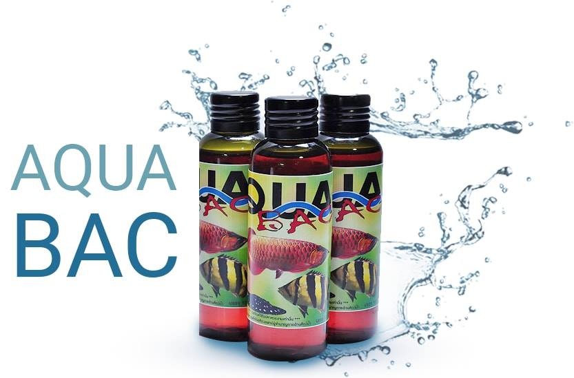 Cz12 – Aqua Bac – Thuốc dành cho cá rồng, cá hổ, cá sam