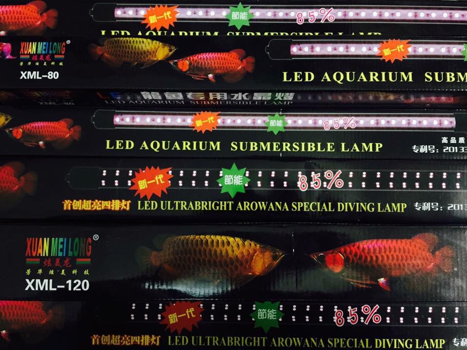 Đèn Led XuanMeiLong Đài Loan – XML 60 - 2 hàng LED - Trắng