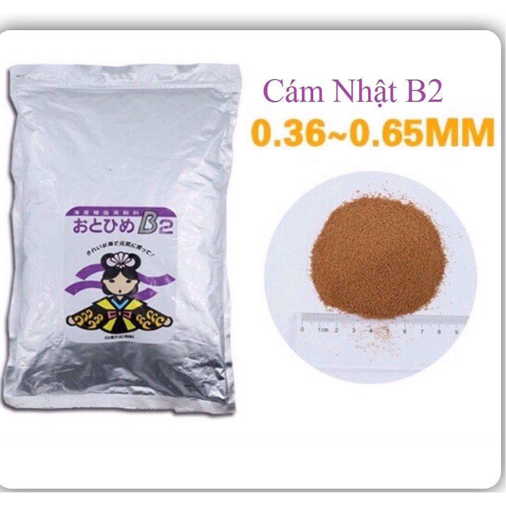 Cám Nhật B2, thức ăn cá bảy màu 500gr 1kg 2kg