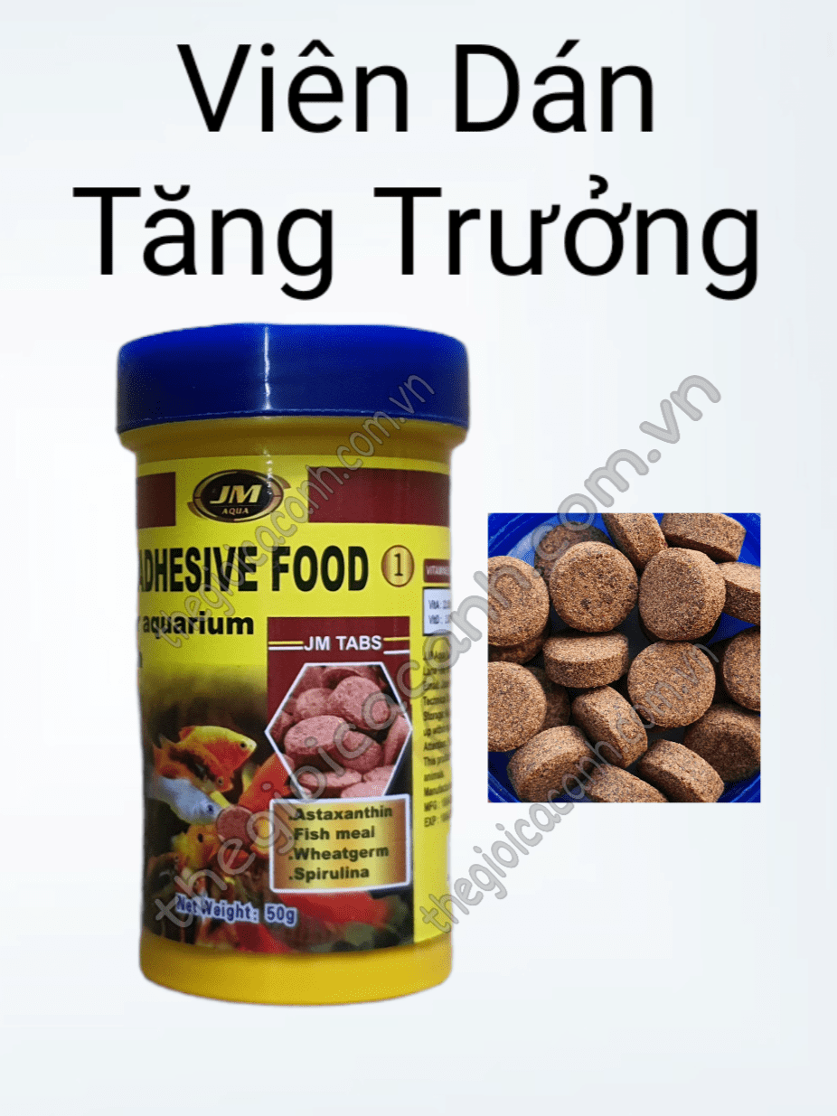 Thức ăn dán kính JM Aqua cho cá cảnh thủy sinh