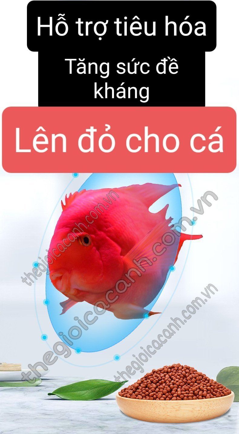 Thức ăn cá hồng két Yee lên màu đỏ hủ 280g