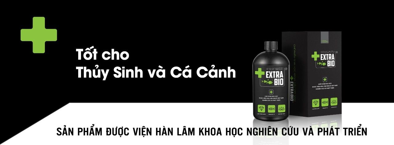 Men Vi Sinh Extra Bio cao cấp cho cá cảnh - ExtraBio làm trong nước