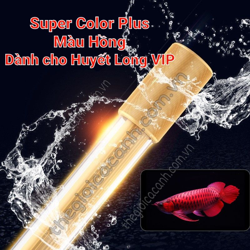 Đèn led cá rồng MAYIN Super Colour Plus đỏ cá không đỏ nước