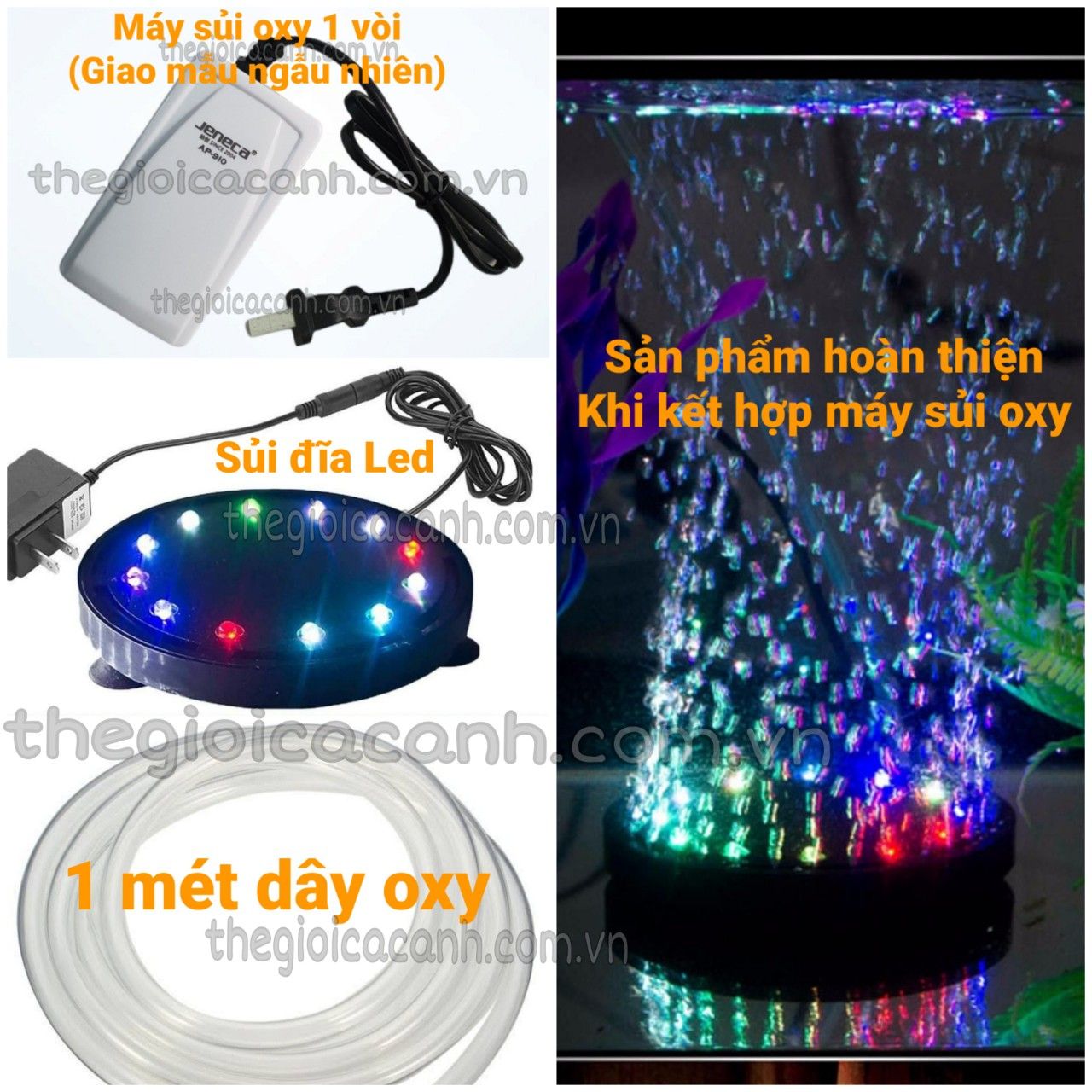 Sủi đĩa oxy kết hợp đèn led cho hồ cá, bể cá cảnh