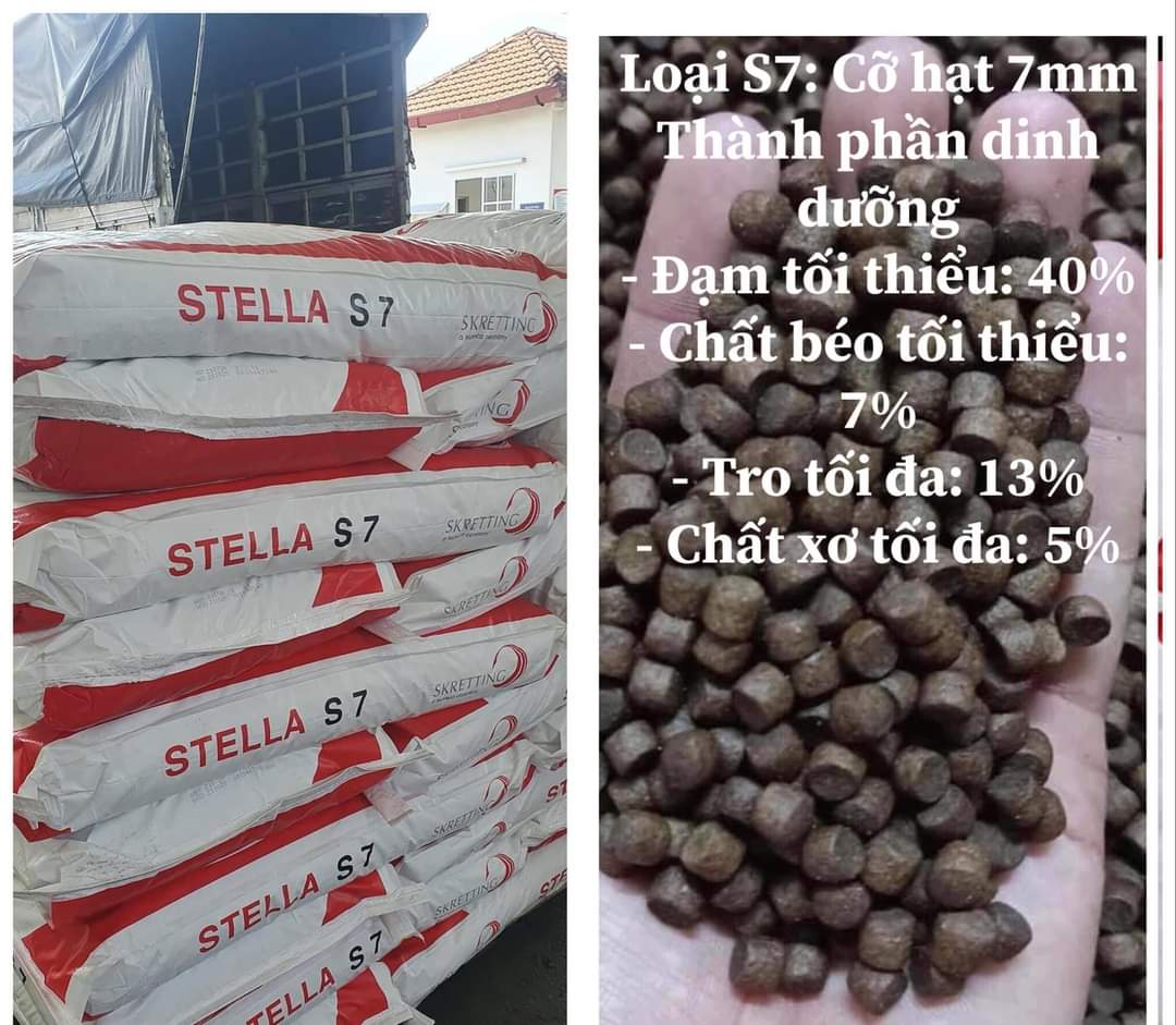 Thức ăn cá Stella cho cá koi, cá ba đuôi, cá cảnh, cá kiểng - 1kg