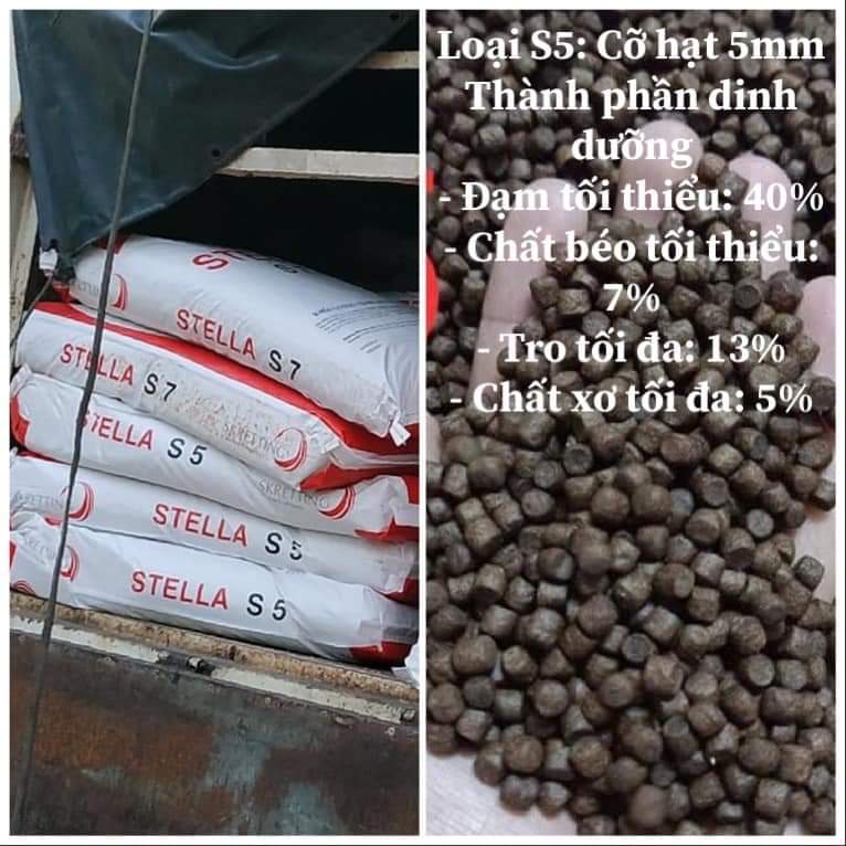 Thức ăn cá Stella cho cá koi, cá ba đuôi, cá cảnh, cá kiểng - 1kg