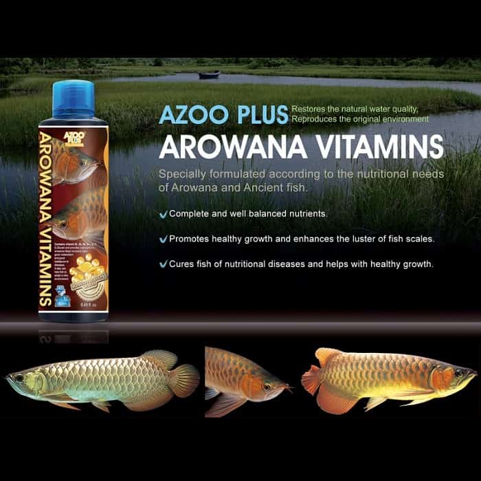 Azoo Plus Arowana Vitamins 250ml tốt cho cá rồng, cá cảnh