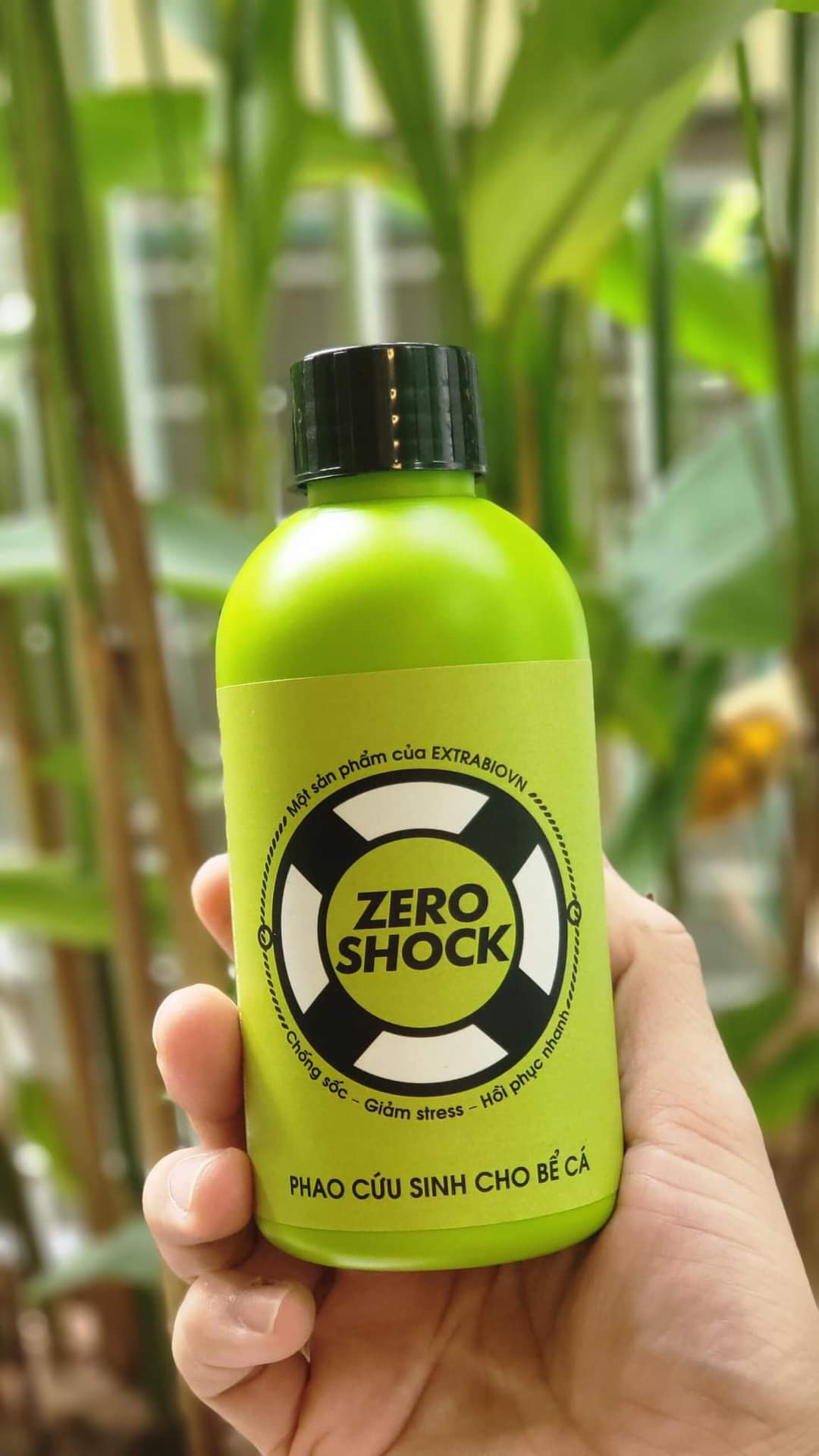 Zero shock | Chống sốc | Giảm stress | Hồi phục nhanh 250ml