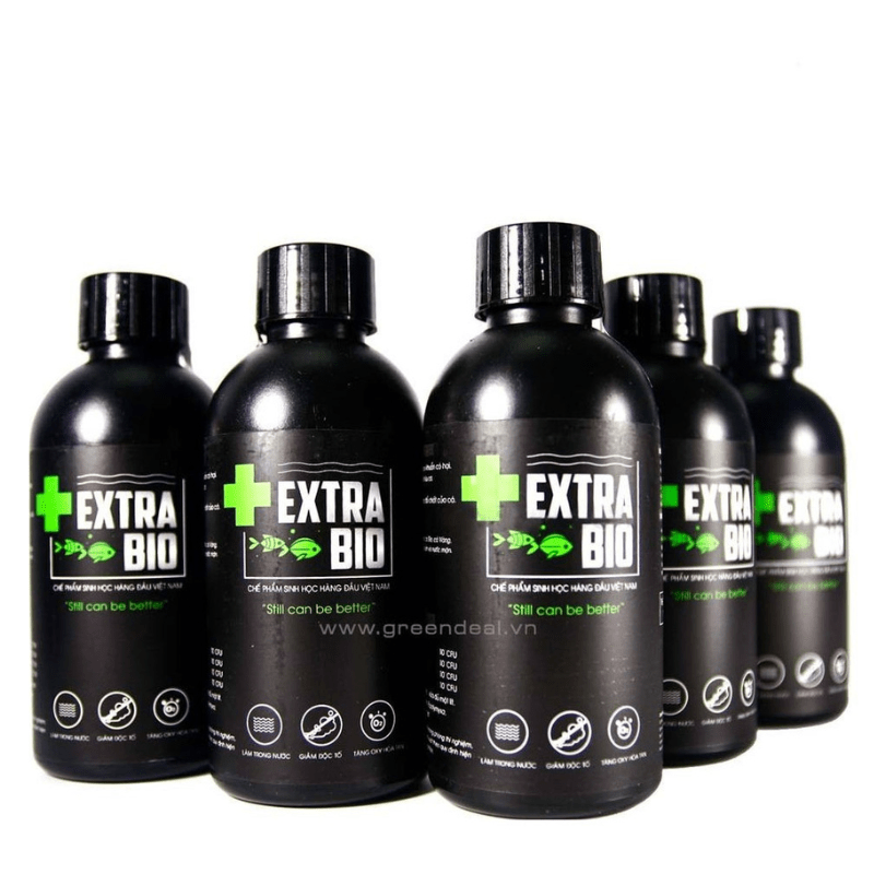 Tặng Khẩu Trang Extra Bio