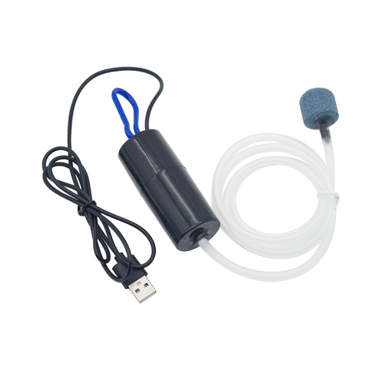 Gửi Máy Sủi Oxy Từ Bình Dương Đến Singapore Nhanh Chóng, An Toàn, Giá Tốt