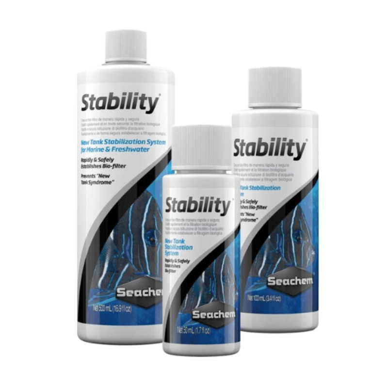 Vi Sinh Sống Seachem Stability Đức 250ml