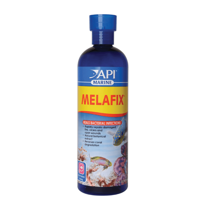 API PIMAFIX - Dung Dịch Đặc Trị Nấm 118ml 237ml 473ml cho cá cảnh