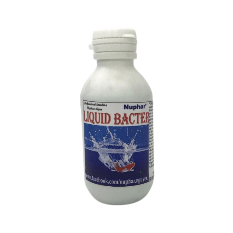 Nuphar Liquid Bacter chống shock