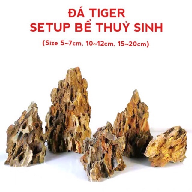 Đá Tiger Setup Bể Thủy Sinh (1kg)