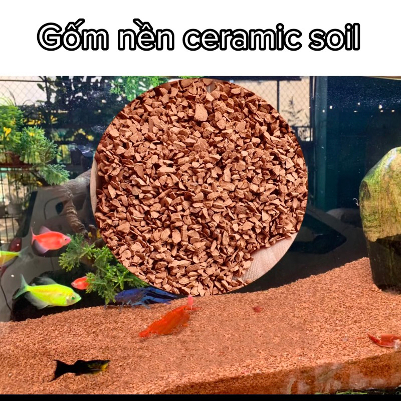 Sạn Gốm Ceramic 1kg Chuyên Làm Nền Cho Hồ Cá Lóc, Hồ Bucep, Thủy Sinh và Tép cảnh, Cá cảnh - CERAMIC SOIL