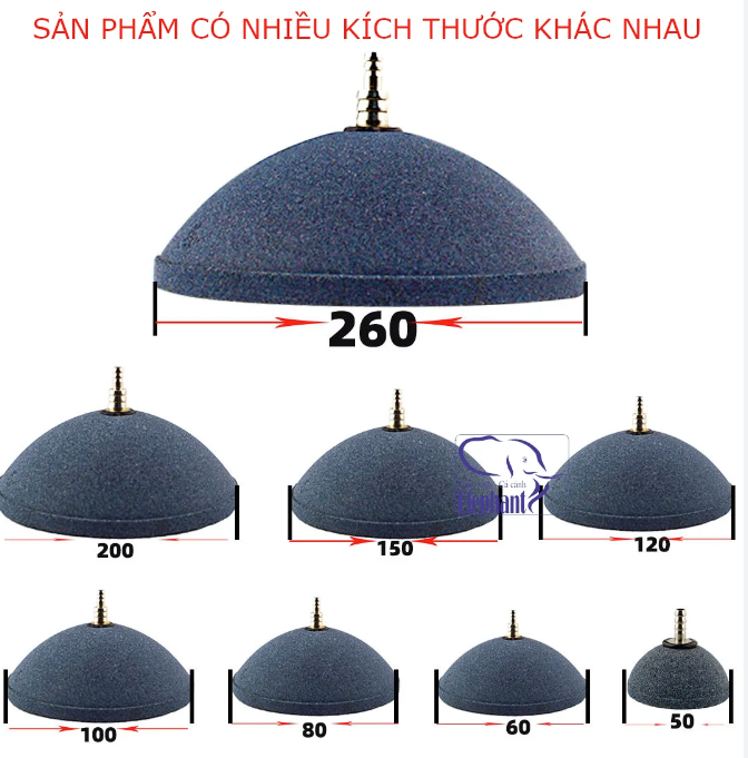 Đĩa Sủi Oxy Bánh Bao Bánh Ú - Nấm Sủi Oxi Cho Hồ Cá Cảnh Đủ Size