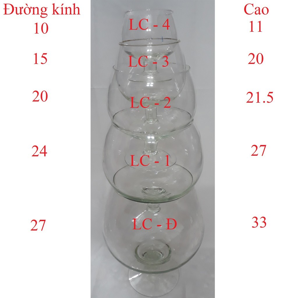 Bể Cá Hình Ly - Hồ Cá Để Bàn - Chậu Cá Thủy Tinh