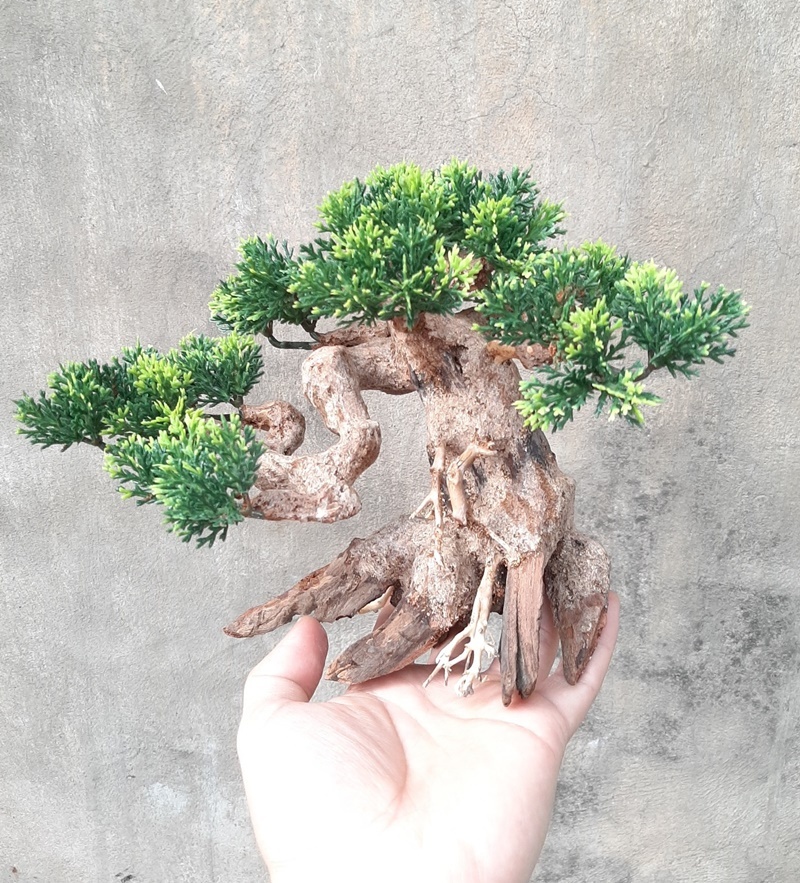 Cây Bonsai nhiều size trang trí hồ cá cảnh