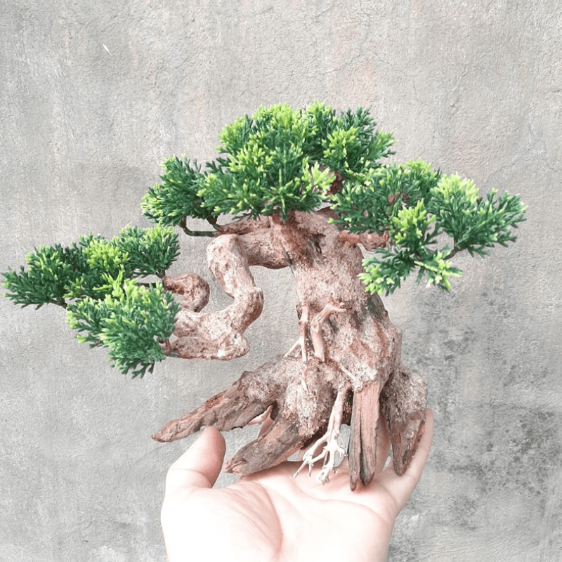 Cây Bonsai nhiều size trang trí hồ cá cảnh