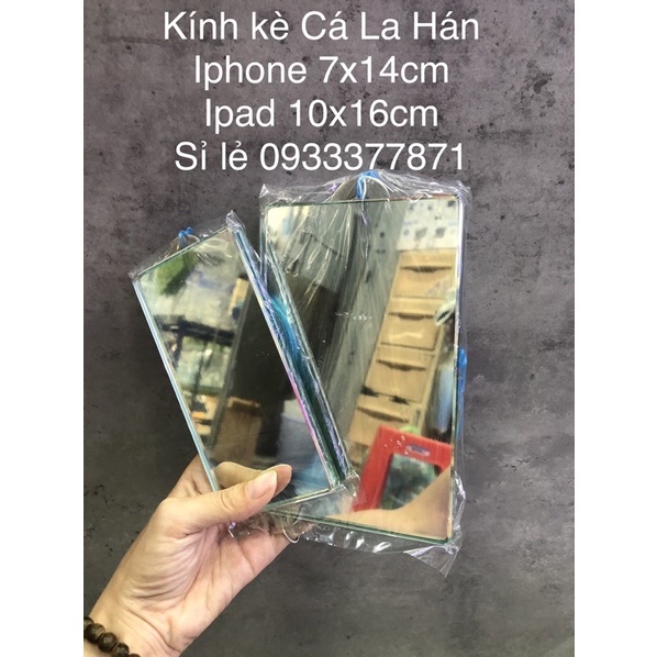 Kính Kè Cá La Hán Iphone Ipad mài full vi tính cao cấp