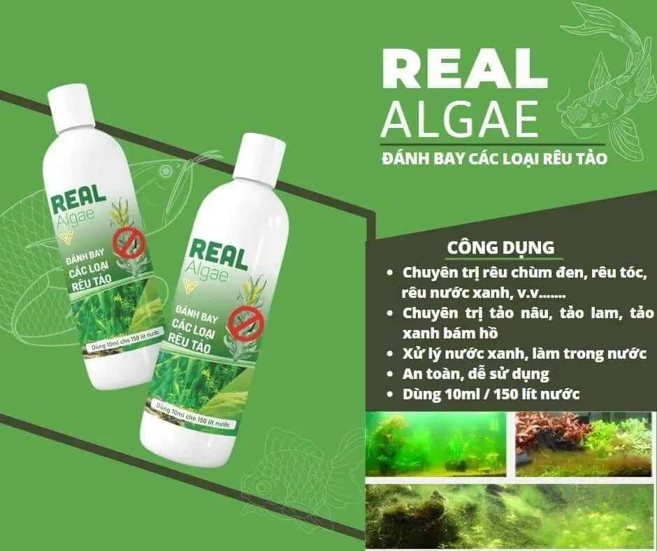 Dung dịch Real Algae diệt rêu tảo hại cho hồ cá, bể cá