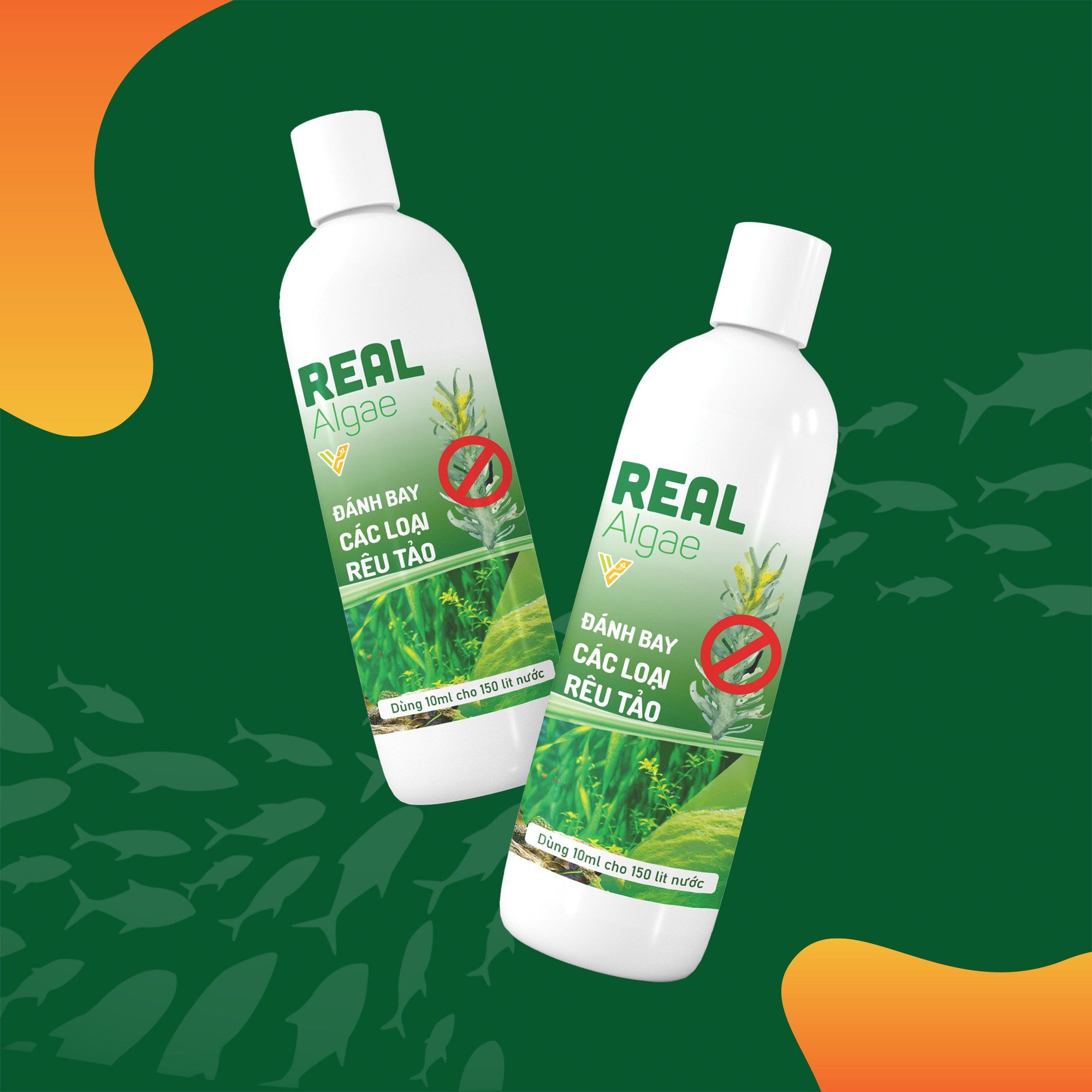 Dung dịch Real Algae diệt rêu tảo hại cho hồ cá, bể cá