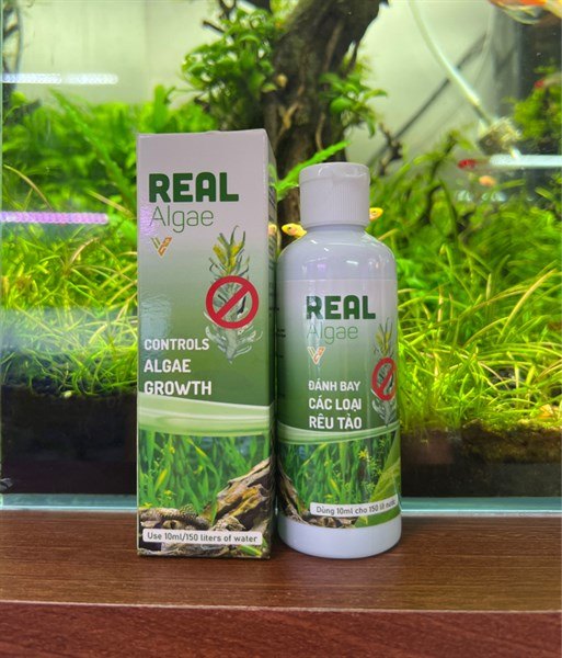 Dung dịch Real Algae diệt rêu tảo hại cho hồ cá, bể cá