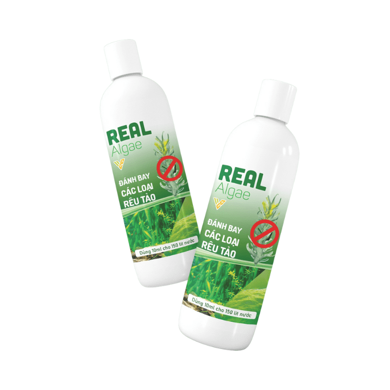 Dung dịch Real Algae diệt rêu tảo hại cho hồ cá, bể cá