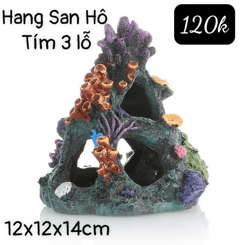 TIỂU CẢNH HANG SAN HÔ TÍM BA LỖ TRANG TRÍ HỒ CÁ CẢNH