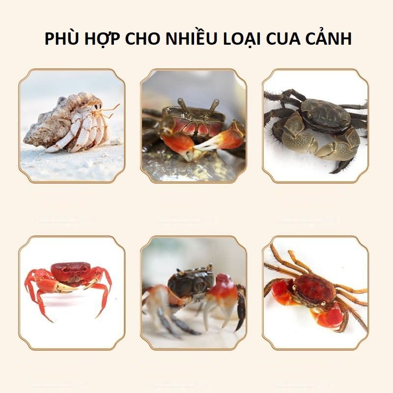 Cám Yee Crab Food – Thức ăn cân bằng dinh dưỡng cho Cua Cảnh, Cua ẩn sĩ, Ốc Mượn Hồn