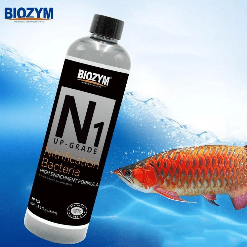 Biozym N1 Up-Grade 500ml - Vi Sinh Xử Lý Nước