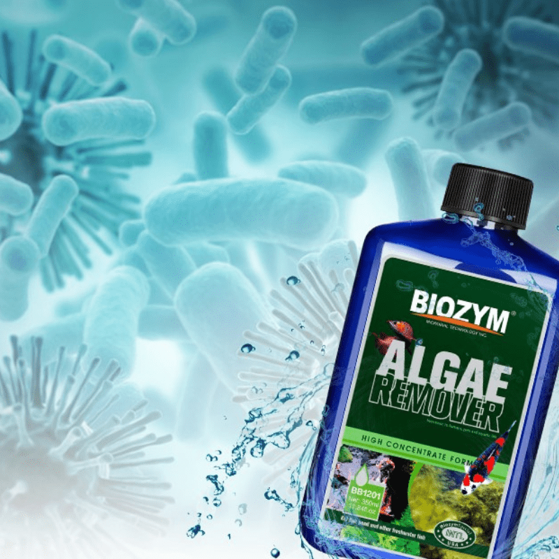 Biozym Algae Remover 350ml - Diệt Rêu Tảo Hại Cho Hồ Thủy Sinh