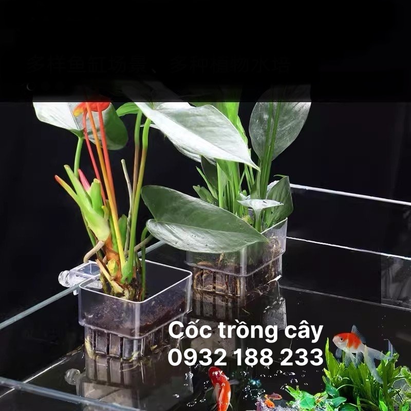 Cốc Trồng Cây Mica Chữ Nhật