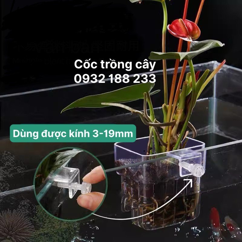 Cốc Trồng Cây Mica Chữ Nhật