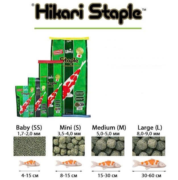 Thức Ăn Hikari Staple dành cho cá chép koi 5kg size L, hạt nổi, giàu dinh dưỡng, tăng trưởng tốt