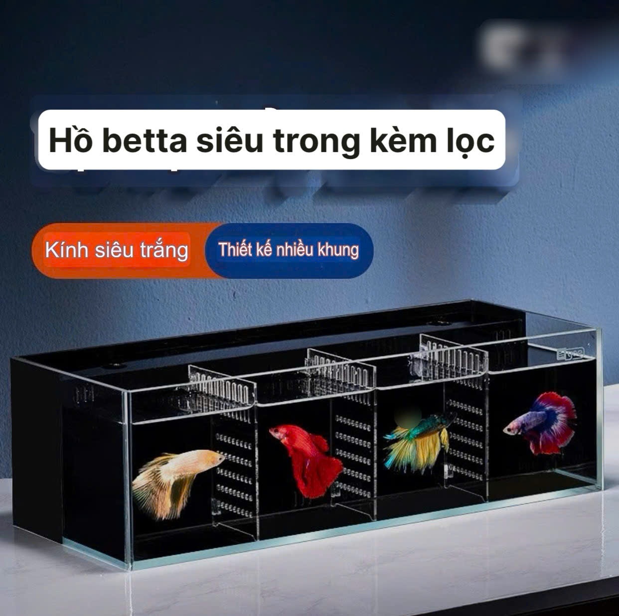 Bể cá Betta siêu trong Yee – Độ bền cao, kính siêu trong 8K, kèm bơm và lọc