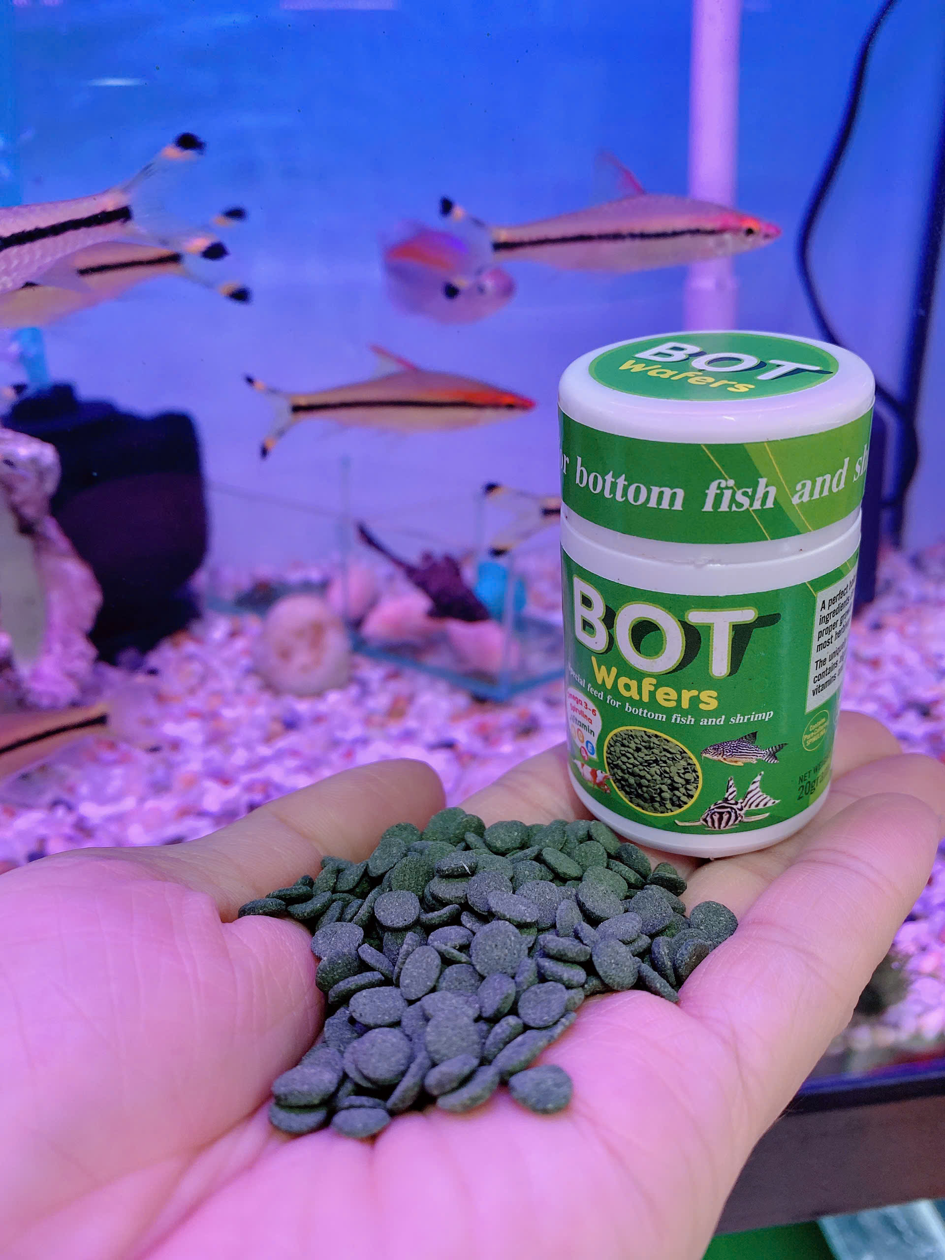 Cám Cá Tầng Đáy BOT Wafers 20g - Thức Ăn Chìm Cho Cá Chuột Tầng Đáy, Tép, Pleco, Axolot