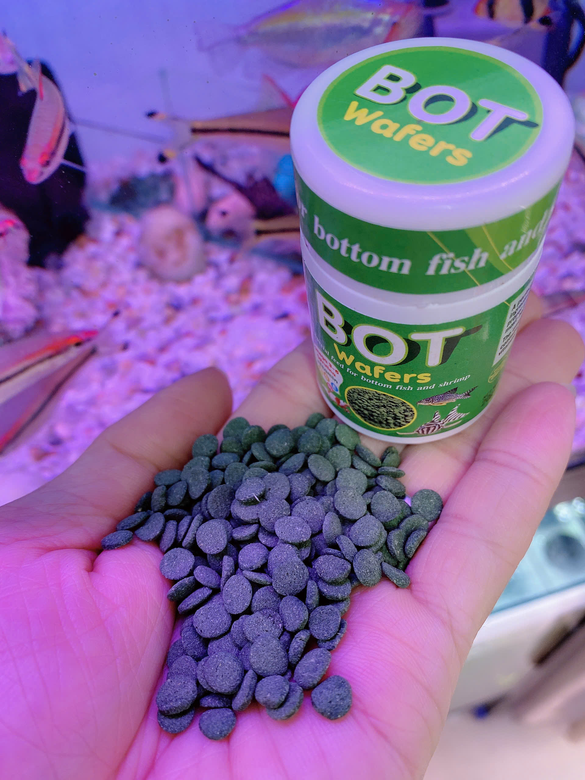 Cám Cá Tầng Đáy BOT Wafers 20g - Thức Ăn Chìm Cho Cá Chuột Tầng Đáy, Tép, Pleco, Axolot