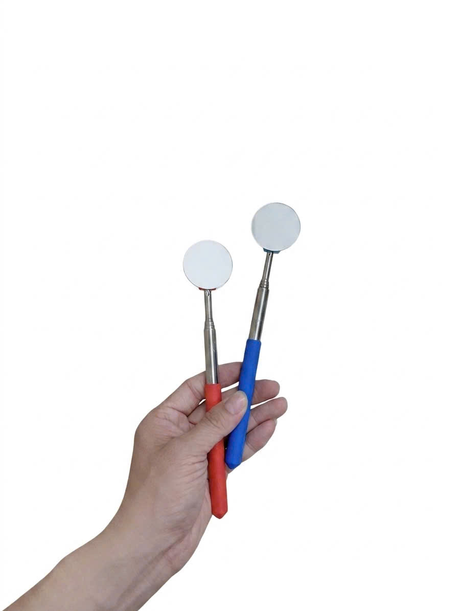 Que Gương Kè Cá Rút Gọn Giúp Cá Sung Giao Màu Ngẫu Nhiên