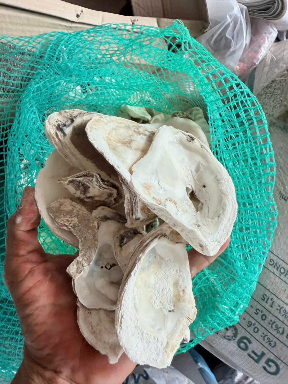 Vỏ Hàu Ion (Bao 10kg ) – Ổn Định PH Nuôi Vi Sinh Cho Hồ Cá