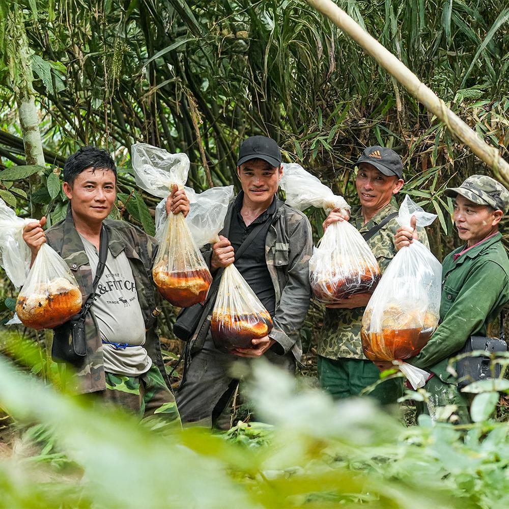 MẬT ONG KHOÁI THỢ RỪNG