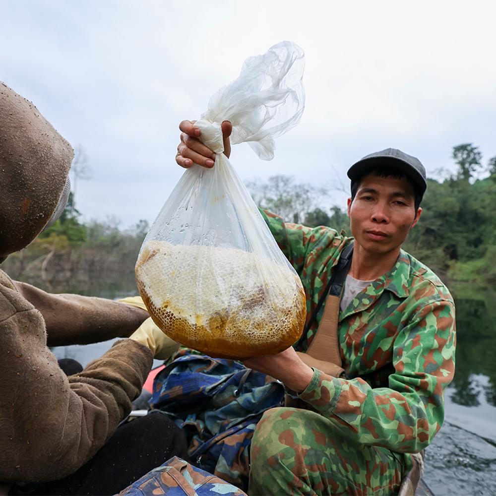 MẬT ONG KHOÁI THỢ RỪNG