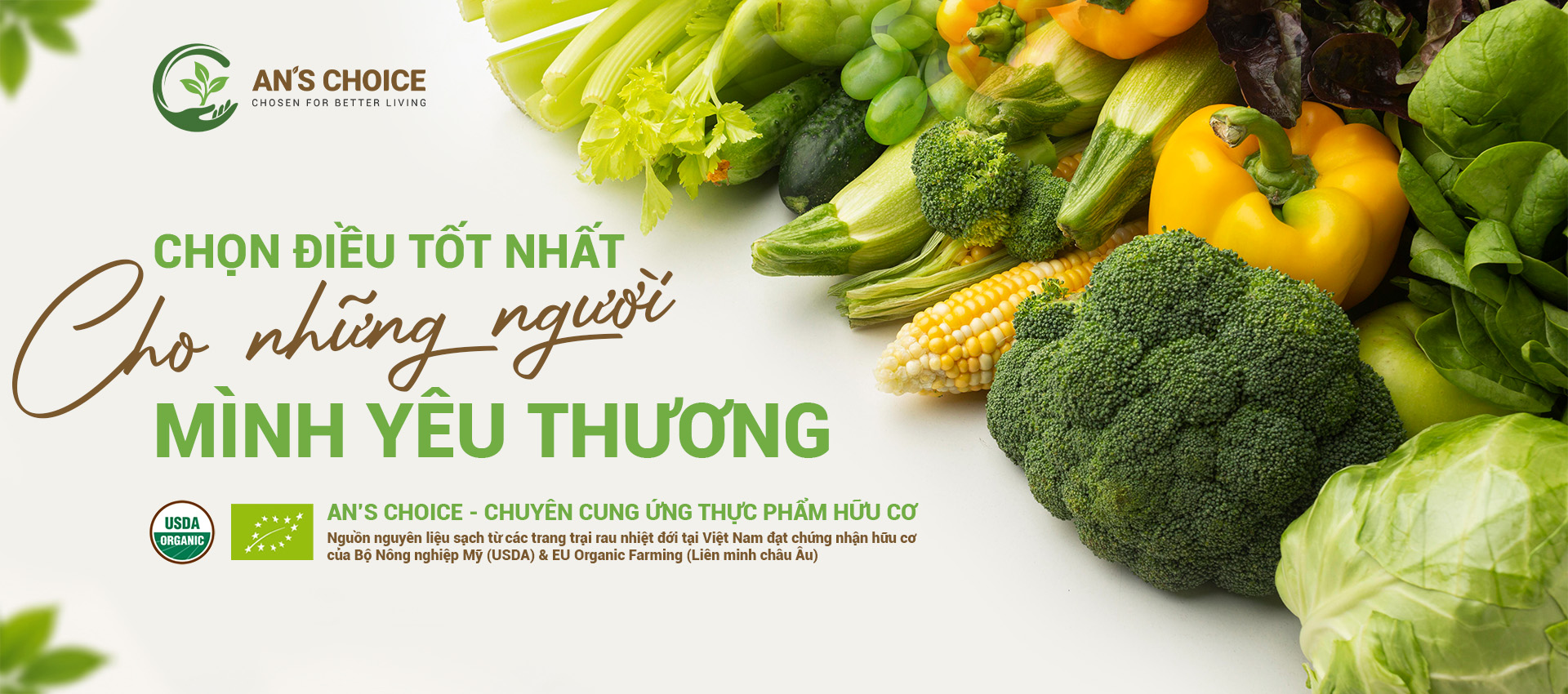 banner trang chủ2