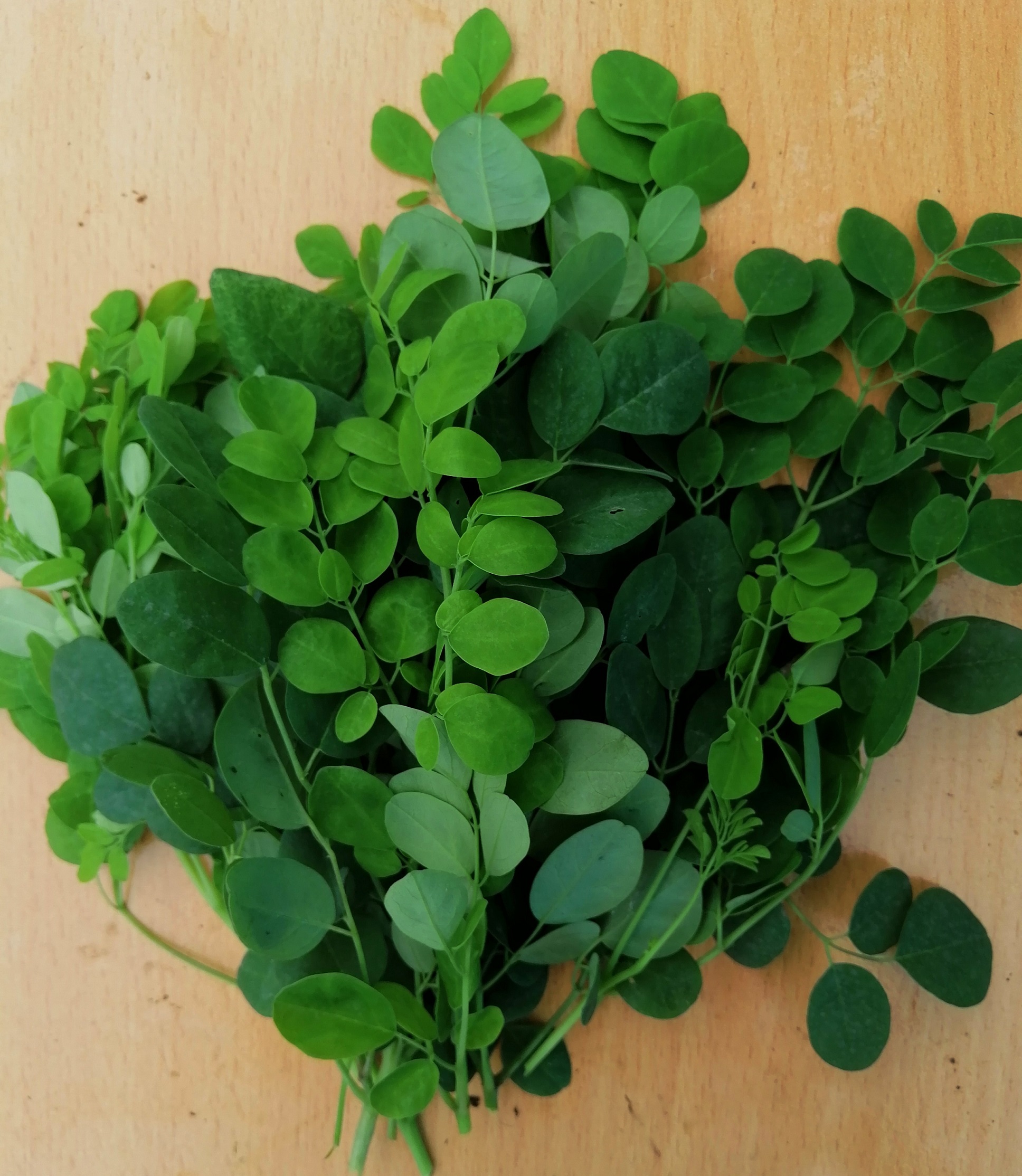 Chùm ngây hữu cơ DNF 150G