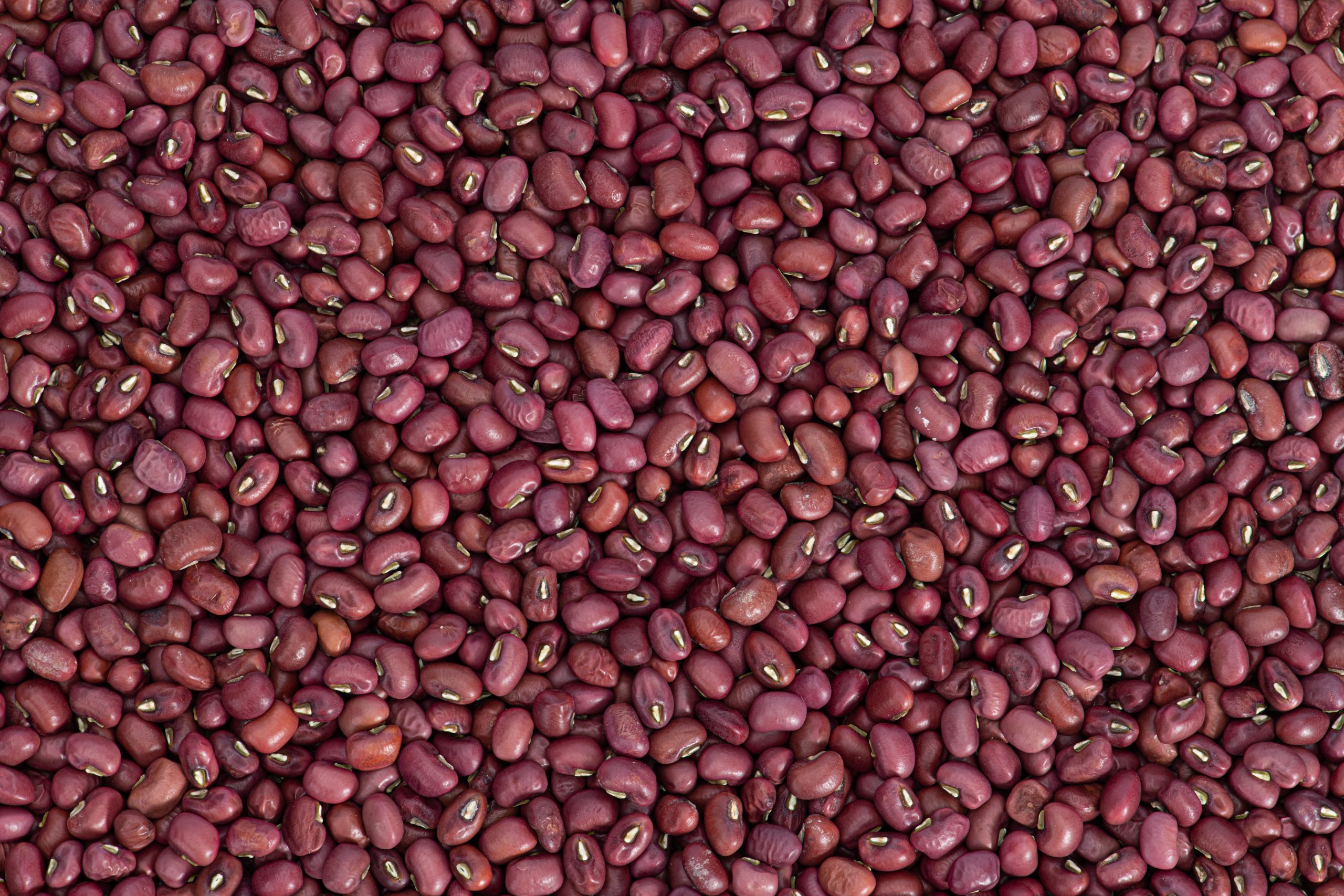 Đậu đỏ hữu cơ Hanuti 450G