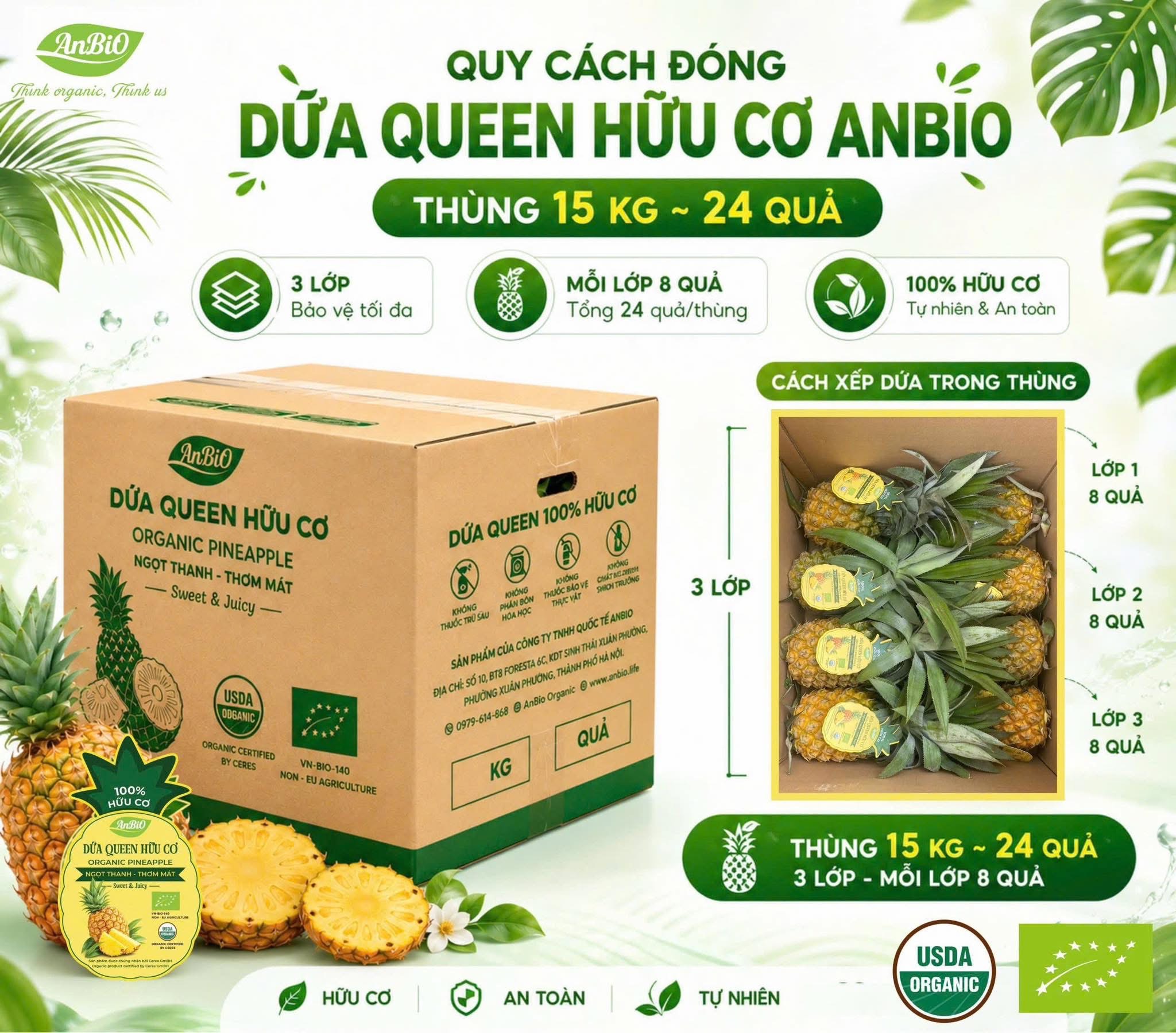 Dứa Queen hữu cơ USDA