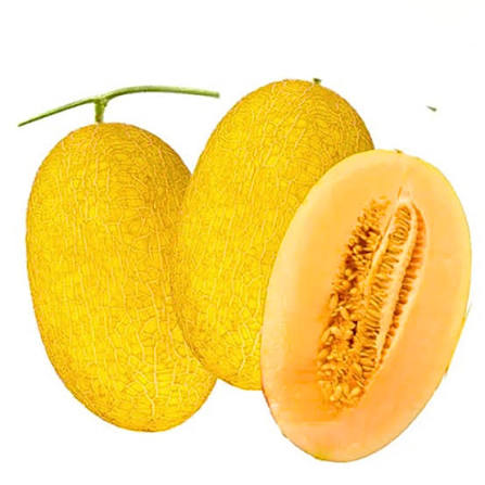 Dưa lưới