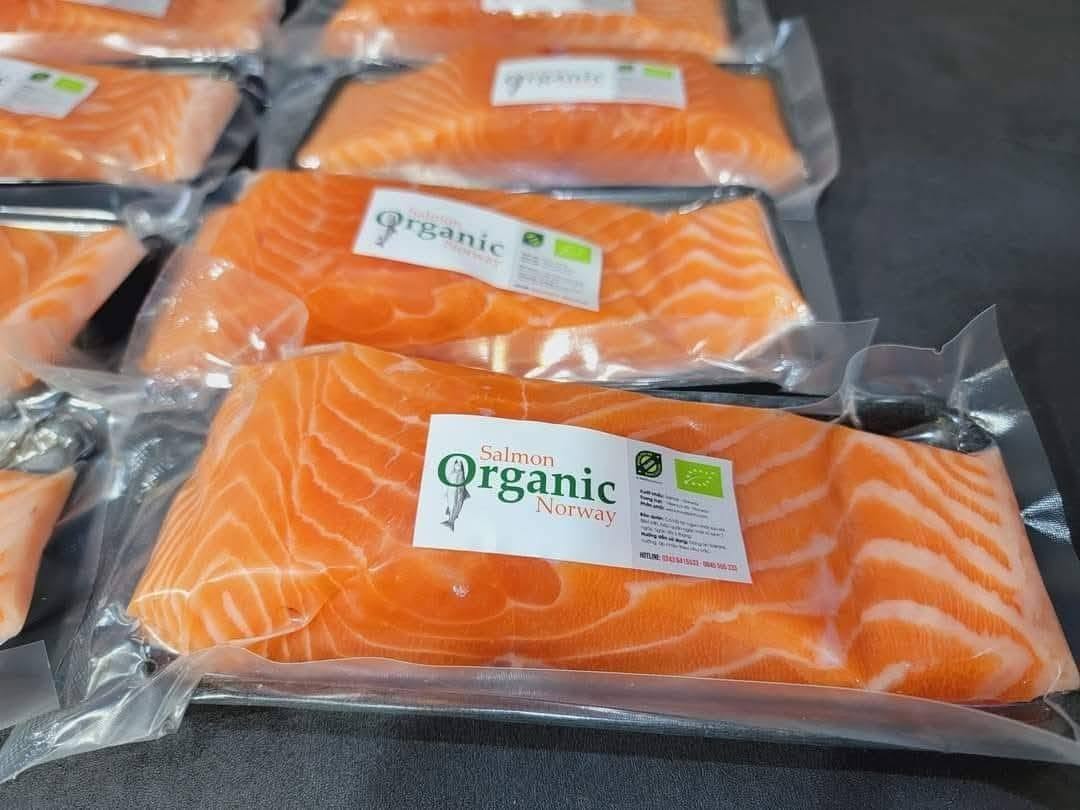 Fillet cá hồi Na Uy hữu cơ