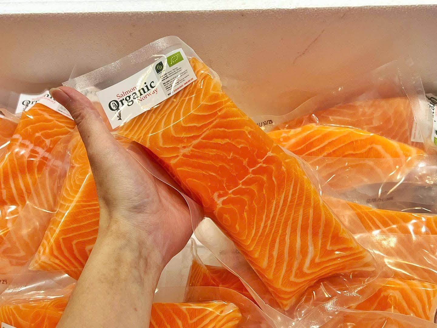 Fillet cá hồi Na Uy hữu cơ